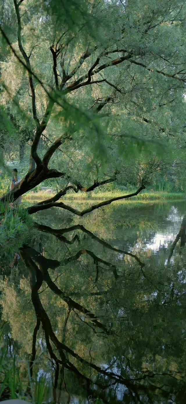 好看干净的背景图   夏天，好看干净的背景图书本天蓝色（夏日凉爽壁纸，更爱浅绿）