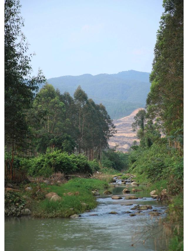 厦门有什么好玩的风景，厦门九个避暑好去处