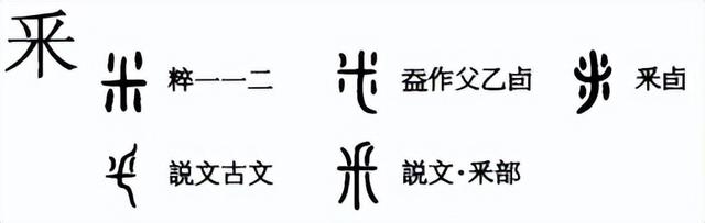 采字的意思是什么，采这个字的意思是什么（字的前世今生）