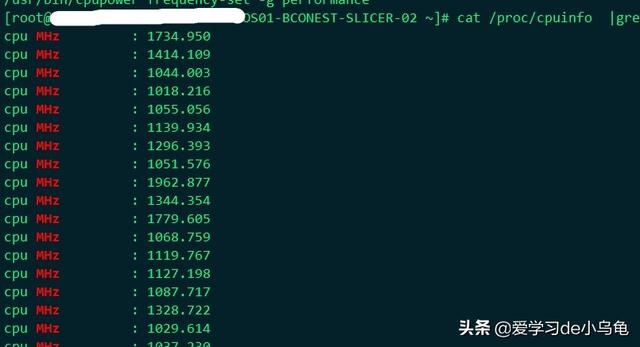 查看cpu频率，苹果手机cpu频率怎么查看（批量检查Linux服务器CPU频率脚本）