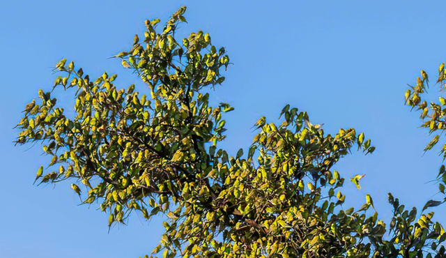 倒过来看很恶心的图，恐怖图片（这些迷惑性超强的错觉照片）