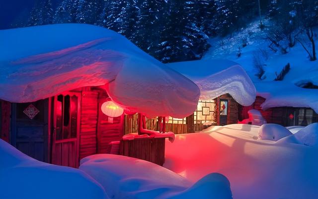 有关雪的诗句有哪些，关于雪的诗句还有哪些（欣赏童话般美好的雪夜）