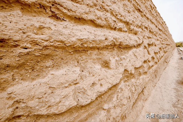 四条龙是什么意思，四个龙是啥子（从夏商周的并存关系探究国家的形成）