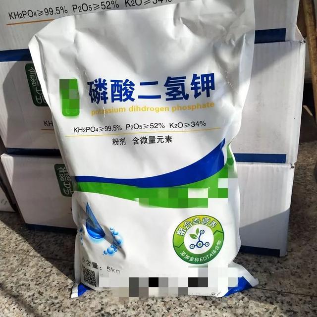 君子兰的花期是什么时候，君子兰花的花期（交替使用2种“水”）