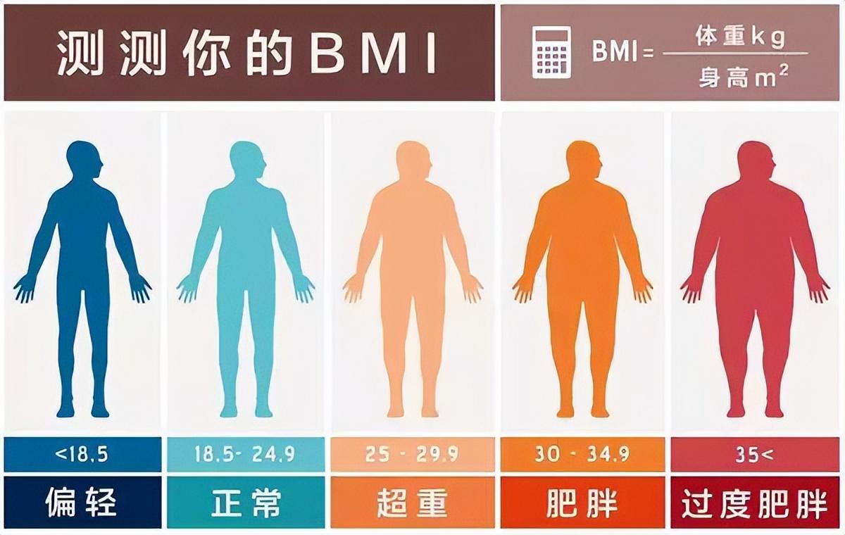 女性腰围对照表cm和尺(女性腰围对照表cm)