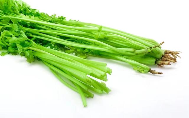 西芹是寒凉的吗_芹菜是寒性的，西芹是寒性还是温性（你眼中芹菜的味道是怎样的呢）