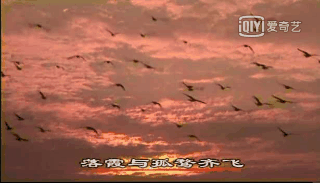 儿童科普纪录片，适合儿童看的科普片（9部孩子必看的顶级纪录片）