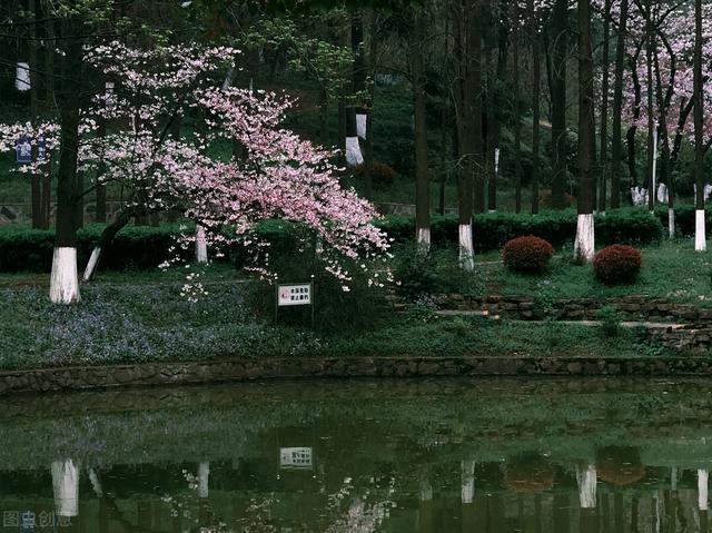 南京周边旅游景点推荐，南京周边自驾游（34个好玩又免费的宝藏公园）