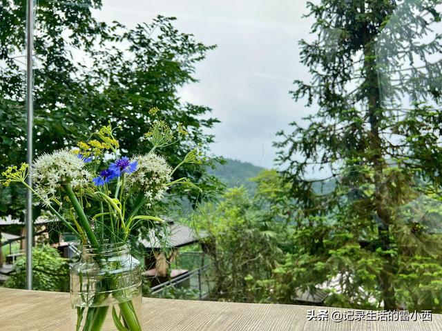 仙女山旅游攻略，重庆旅游景点 仙女山（推荐你去这个免费地方玩）