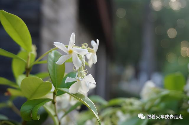 南京都有哪几个区，南京财经大学都有哪几个校区呀（南京人看南京——街区篇-T80园区）