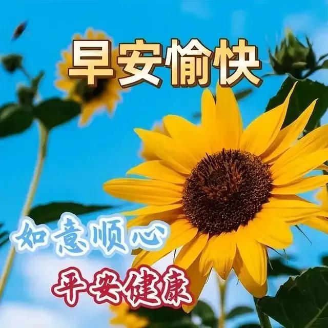 03年属什么生肖，03年属什么（2023年04月03日）
