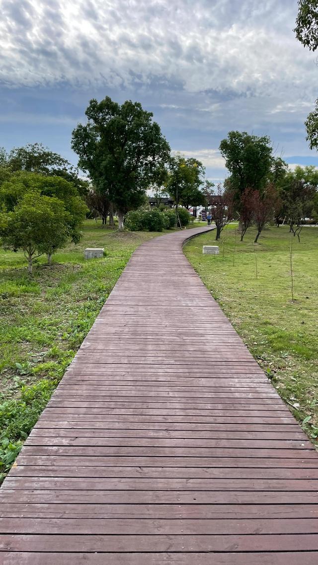 上海到青岛多远，上海到青岛的路程（上海青岛往返1400公里全程无高速沿途城市蜻蜓点水游）