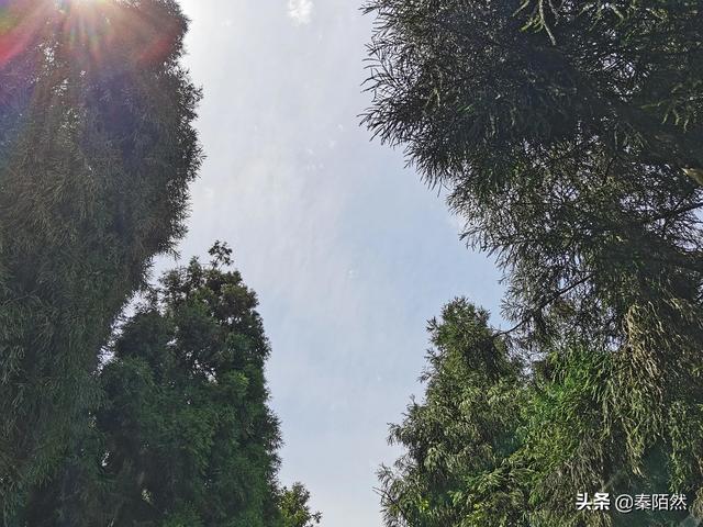 怎样游览邛崃天台山，去邛崃天台山（2022夏日自驾旅行体验）