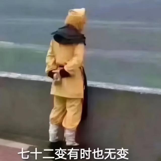 逗人开心的图片，高级文案幽默笑死人（一期看完就会开心的图片）