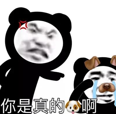 太狗了是什么意思，“你是真的狗”什么梗
