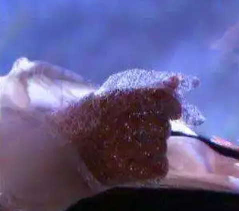 流星镖的威力测试，细数武侠剧中美女使用武器