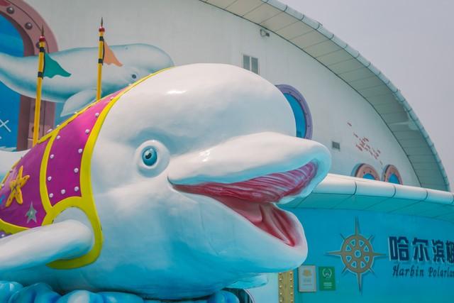 哈尔滨海洋极地馆，哈尔滨极地海洋馆内部（哈尔滨极地公园·极地馆）