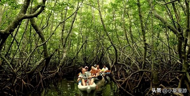 有海的地方哪个比较适合旅游，海边去哪里旅游最好（海岛旅行度假首选）