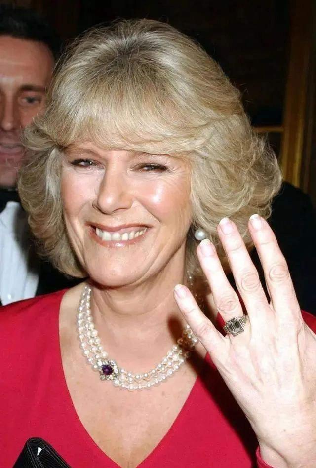 查尔斯王子的妻子卡米拉为什么不能成为王后，卡米拉王妃查尔斯孩子（女王最后的妥协）