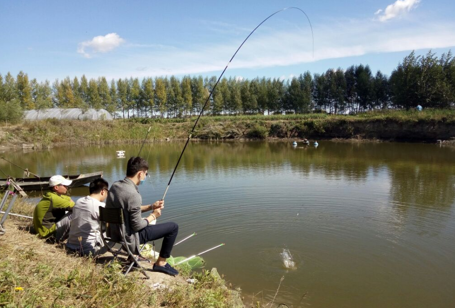 冬季降温后鲫鱼藏身何处？高效打窝技巧助你轻松钓获大鲫鱼