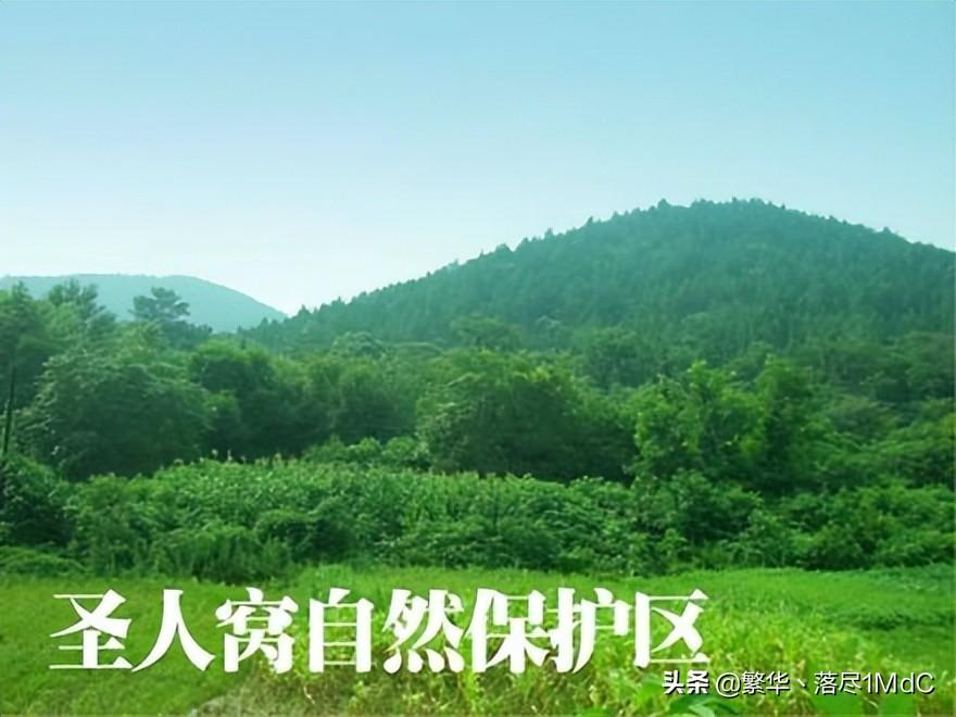 徐州市铜山区()
