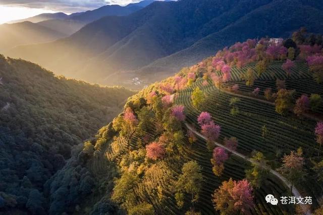张宇璇（何雨璇），何雨璇的图片（小诗会 ， 这里永远是春天）