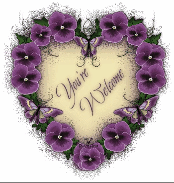 999朵玫瑰，送你999朵动态玫瑰花（999朵玫瑰邰正宵）