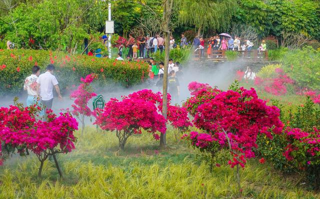 去厦门必去的几个地方，厦门必去的几个景点（这8个好玩又好拍的免费游玩圣地）