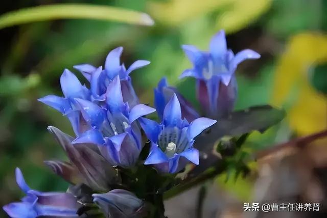 怎么治疗肝，肝上积水怎么治疗（中医：治肝5个方法，立竿见影）