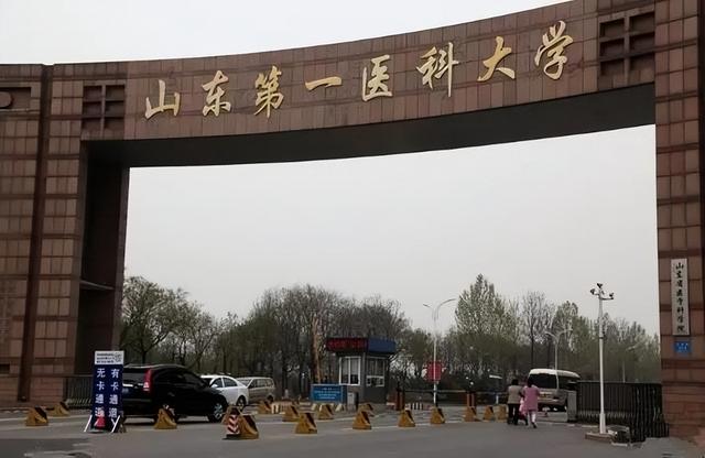 山东理工大学是一本还是二本，2021年山东理工大学是几本大学（山东改名很成功的非211）
