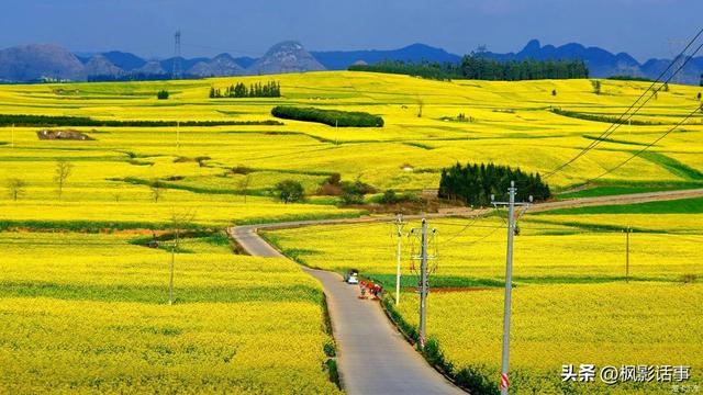 3月旅游的最佳地点，3月去什么地方旅游最好呢（三月份旅游一定要去的六个地方）