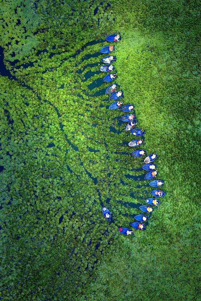 衤字旁的笔顺视频，衣字的笔顺怎么写（白露，露从今夜白，月是故乡明）