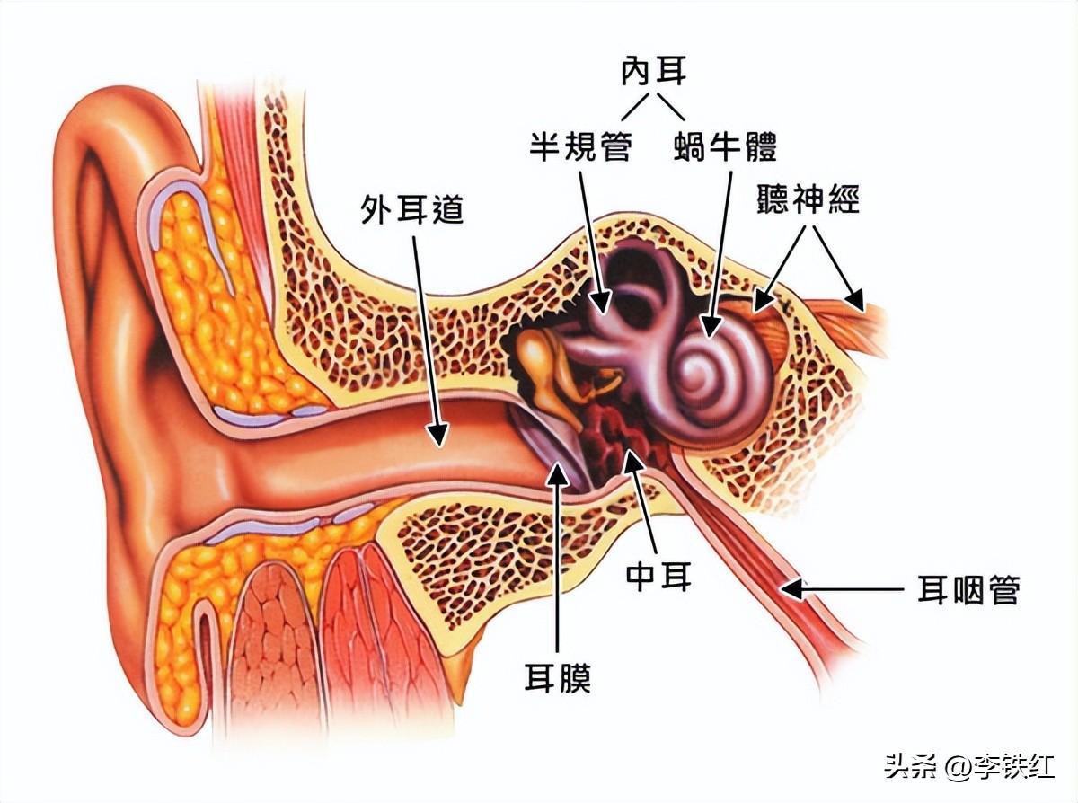 北京潮声（李铁红出诊记）