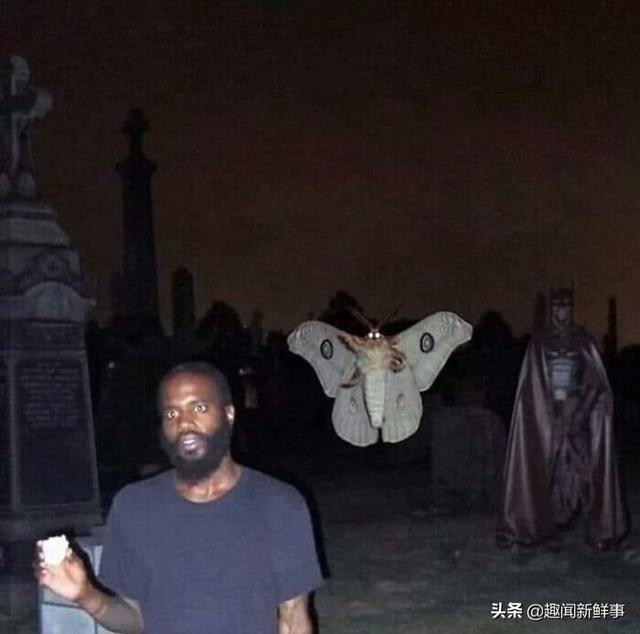 25张让你笑出声的照片，太搞笑，太好玩了