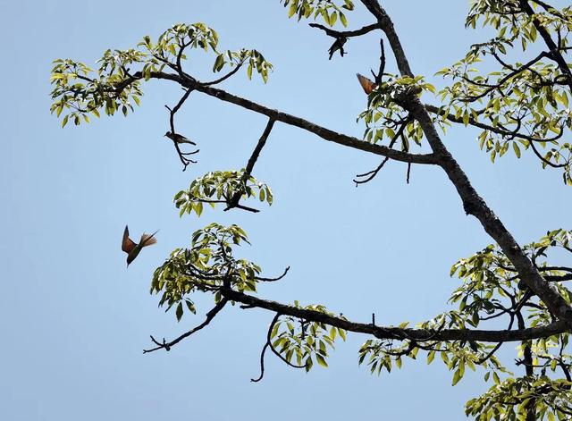 略过是什么意思，略过什么意思（伊斯兰教起源及和犹太教、基督教的异同）