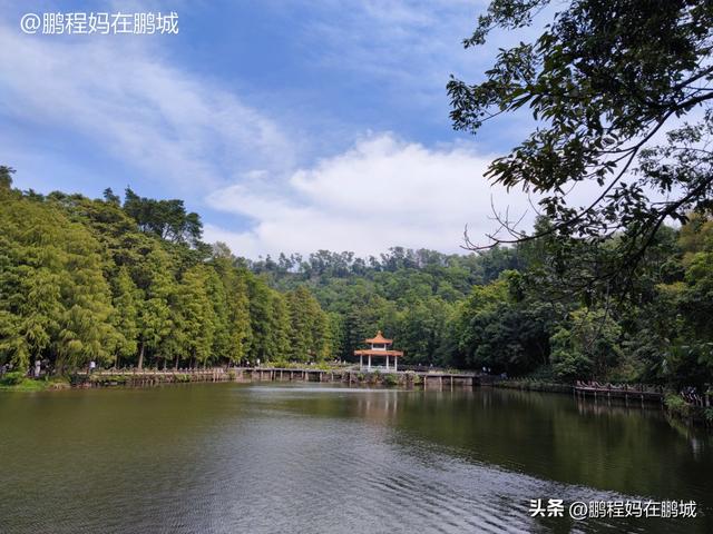 仙湖植物园地铁几号线，深圳仙湖植物园攻略（深圳仙湖植物园——带孩子逛逛植物王国）