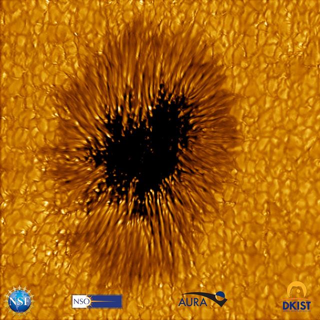 太阳黑子在什么层，太阳黑子位于太阳大气的哪一层（1.5亿公里外高清太阳黑子视图曝光）