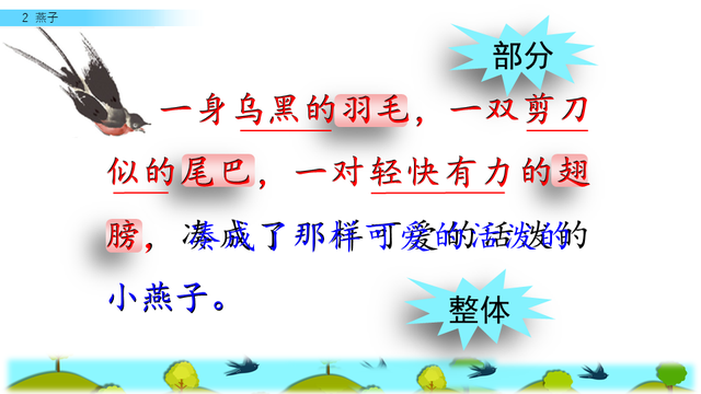 燕子的三大特点，燕子 有什么特点（三年级人教版语文下册《燕子》课文讲析及课后作业参考）