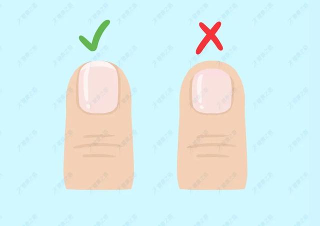 如何使用指甲剪修剪指甲，指甲应该怎么修剪（你可能都用错了方法）