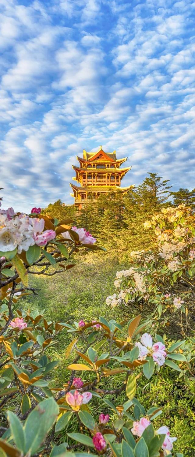 一个人可以玩什么，一个人玩的运动项目（适合一个人旅行的10个地方）