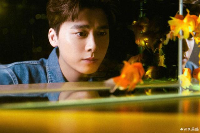 虎的成语吉祥语，李易峰跟金鱼合影（虎成语大全四字吉祥语）