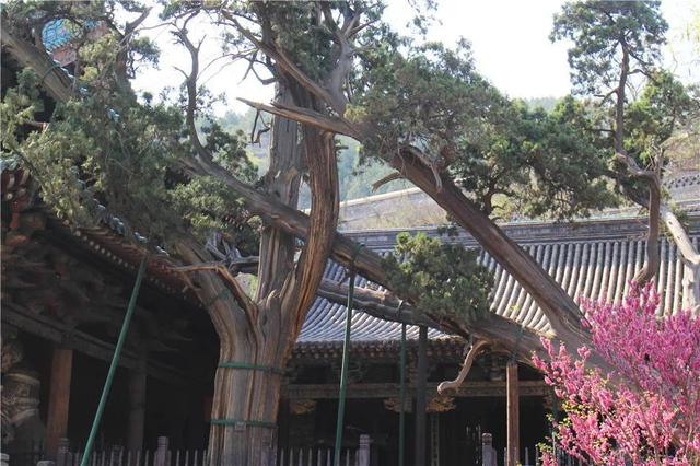 晋祠公园景点介绍，山西晋祠有什么景点好玩（古老晋国宗祠）
