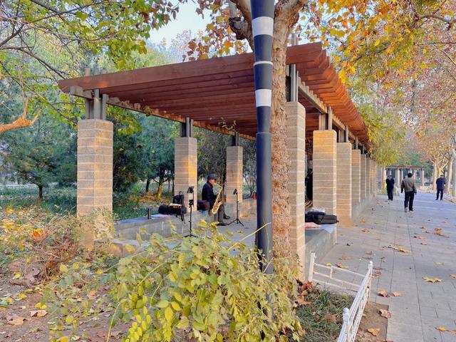 石家庄市水上公园，石家庄适合带孩子玩的地方（有种记忆，叫石家庄水上公园）