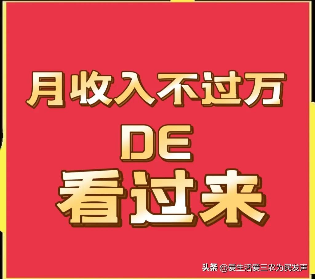 一个月捞偏门可挣20万项目有哪些（月收入不过万的4个偏门生意一览）