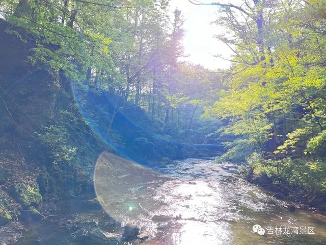 盛夏将至，吊水壶伴你清凉一夏
