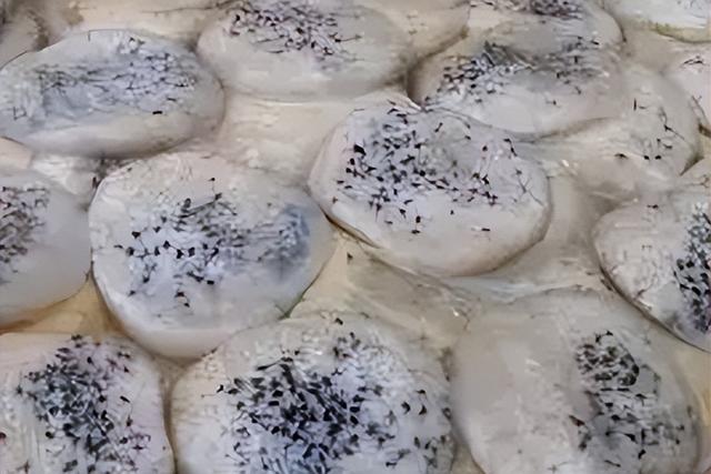 潮汕小吃大全名称，潮汕特色小吃有哪些（潮汕各地的美食收集整理<三>）