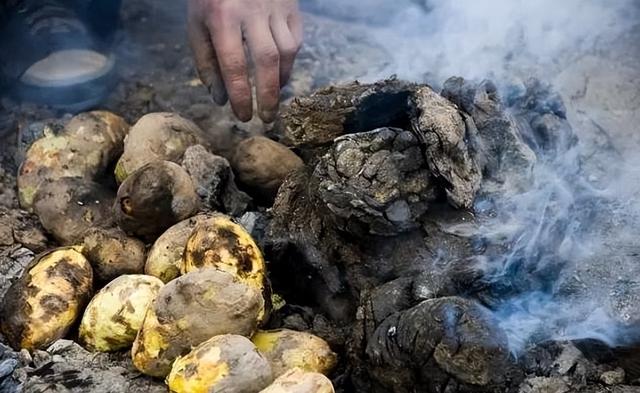 土豆皮红色的怎么回事，土豆皮有点红色（土豆发芽还能吃吗）
