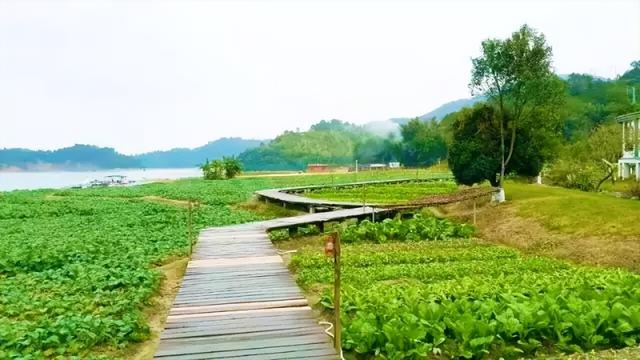 河源一日游路线攻略，广州出发-河源2天游