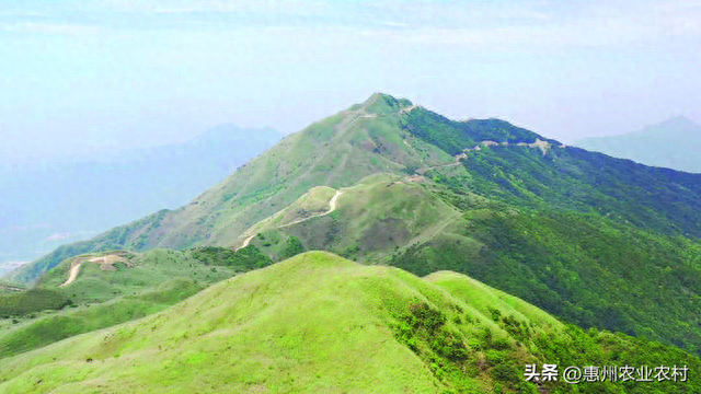 惠东县：打造以九龙峰和大南山为核心的旅游胜地