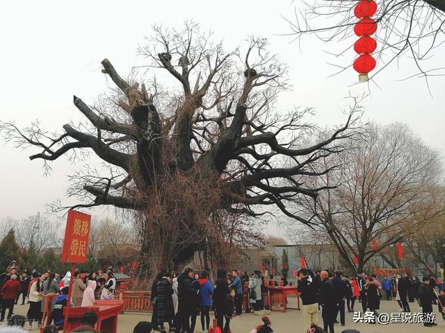 大同5a级景区有哪些地方，山西的十家5A级景区